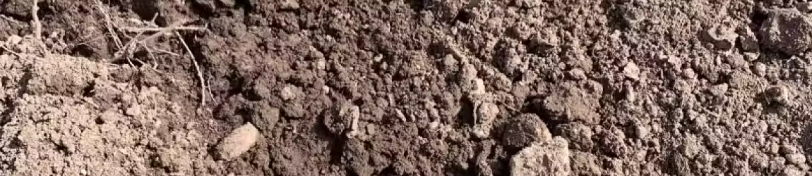 Fill Dirt